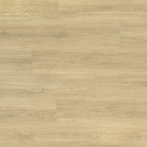 Sofia D80781 - Swiss Solid Chrome